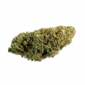 Critical Haze